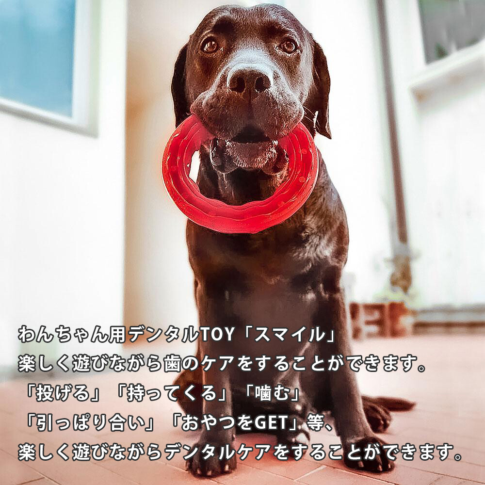 10011771_2 10011771_2